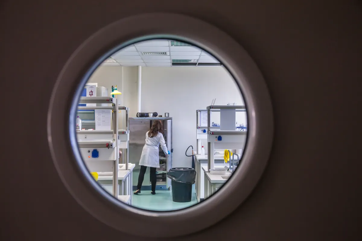 Peptide di riferimento (esempio: BPC-157)