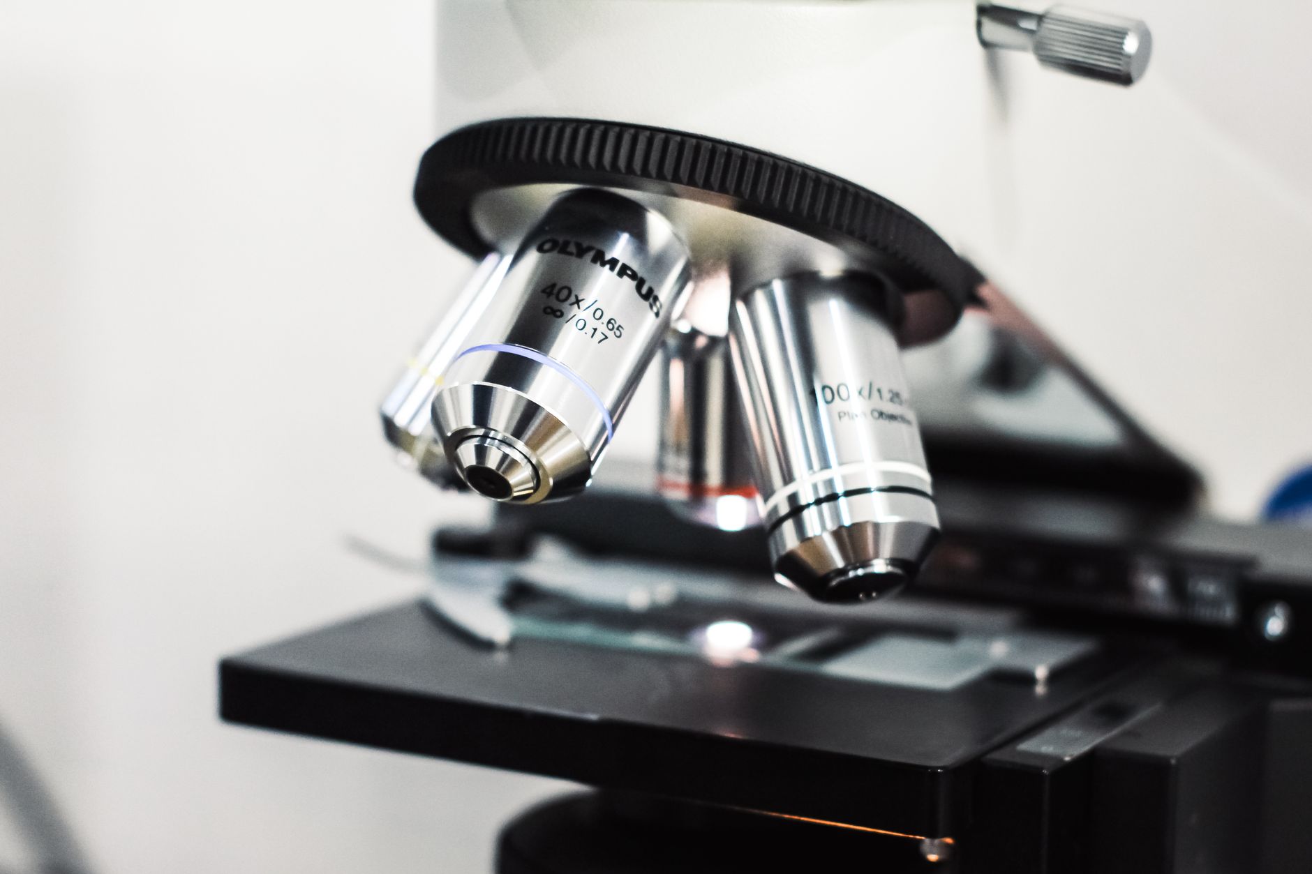 Niacinamide vs Peptidi: Benefici Distinti e Come Combinarli