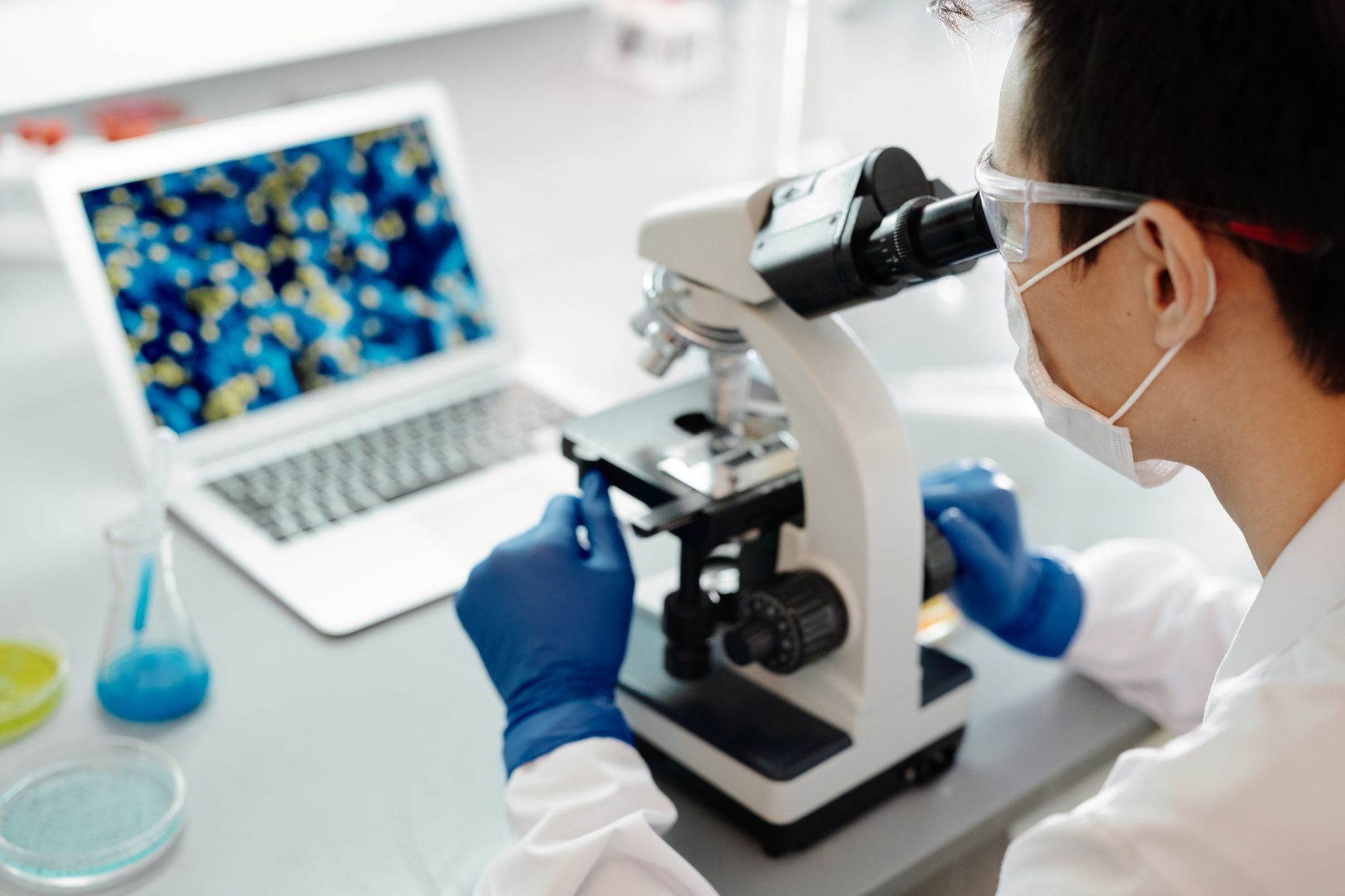 KPV oral : gélules, intestin et biodisponibilité