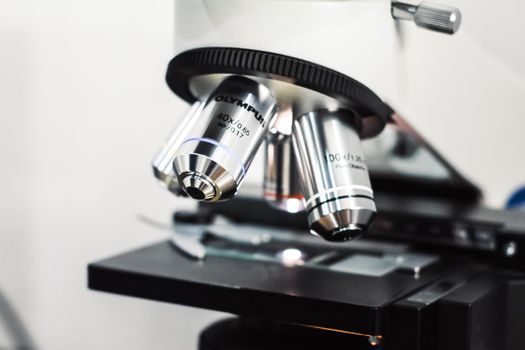 Niacinamide vs peptides : bénéfices distincts et synergie en soin de la peau