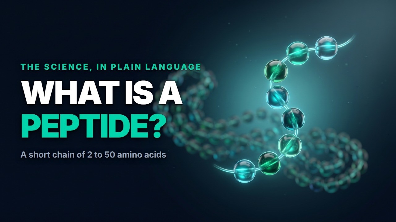 What Is a Peptide? The Science in Plain Language